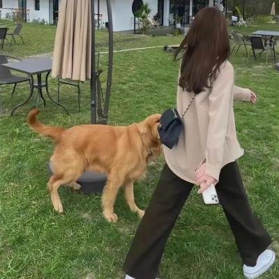 巴黎五区的女人