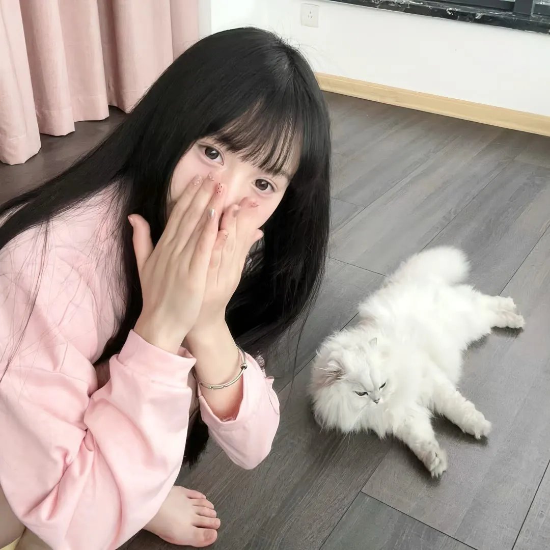 艾莉塔：战斗天使